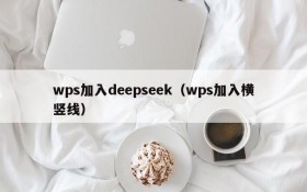 wps加入deepseek（wps加入横竖线）