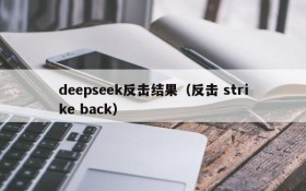 deepseek反击结果（反击 strike back）