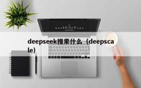 deepseek搜索什么（deepscale）
