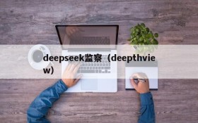 deepseek监察（deepthview）