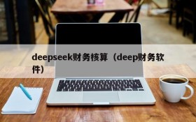 deepseek财务核算（deep财务软件）