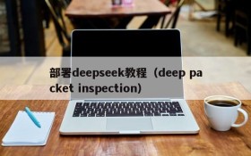 部署deepseek教程（deep packet inspection）