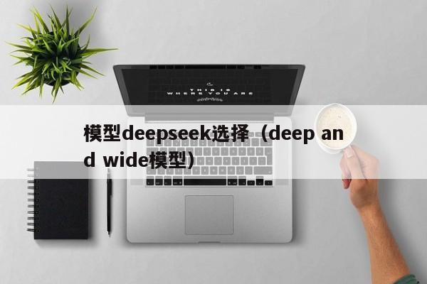 模型deepseek选择（deep and wide模型）